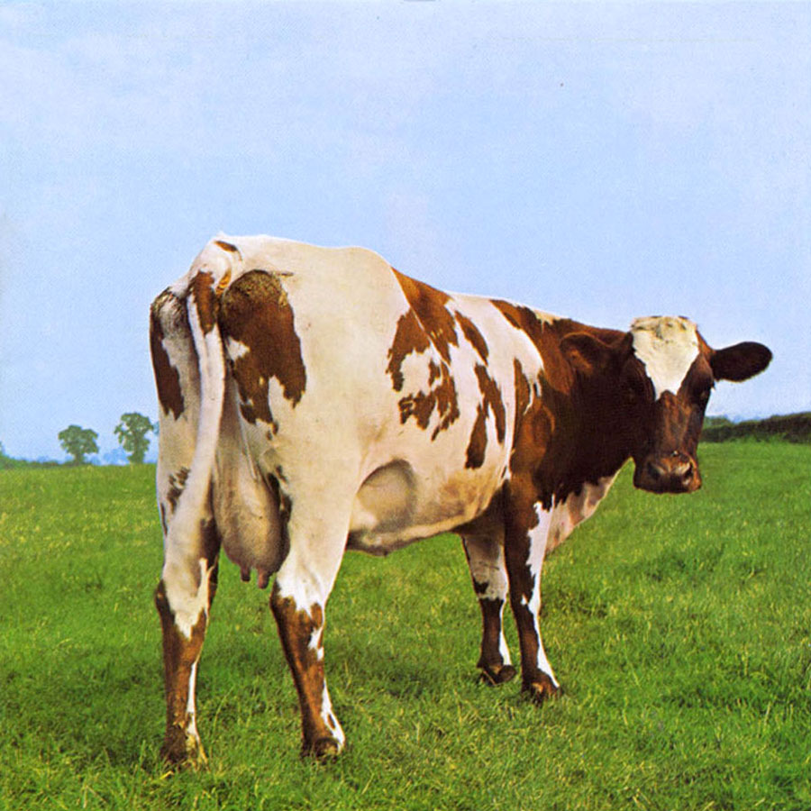 Atom Heart Mother Pink Floyd Classic Album Covers